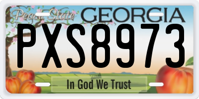 GA license plate PXS8973