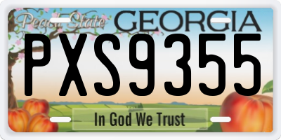 GA license plate PXS9355