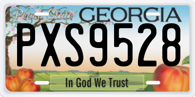 GA license plate PXS9528