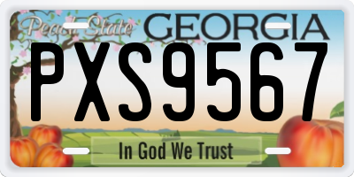 GA license plate PXS9567
