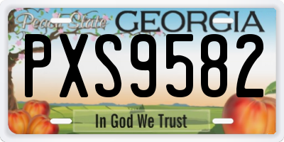 GA license plate PXS9582