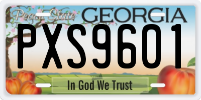 GA license plate PXS9601