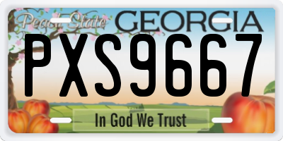 GA license plate PXS9667