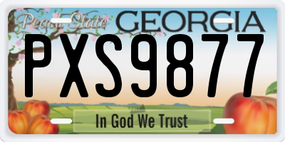 GA license plate PXS9877