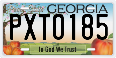 GA license plate PXT0185