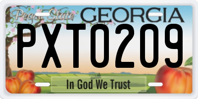 GA license plate PXT0209