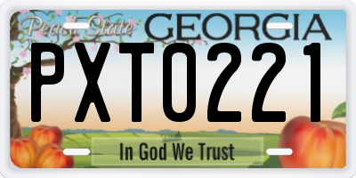GA license plate PXT0221