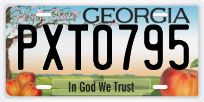 GA license plate PXT0795