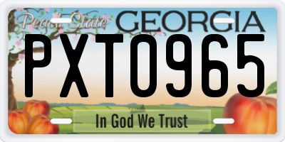GA license plate PXT0965