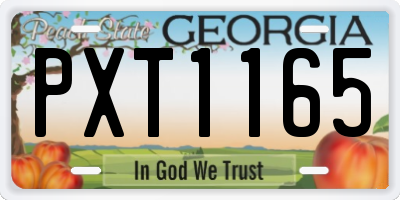 GA license plate PXT1165