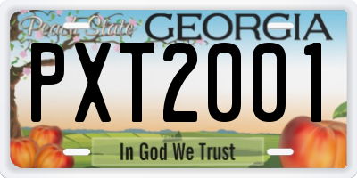 GA license plate PXT2001