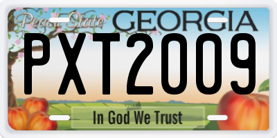GA license plate PXT2009