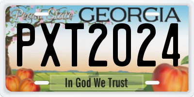 GA license plate PXT2024