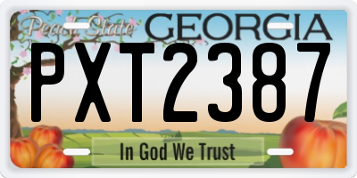 GA license plate PXT2387