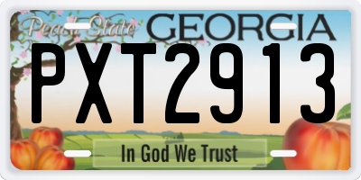 GA license plate PXT2913
