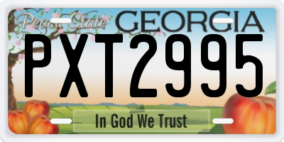 GA license plate PXT2995