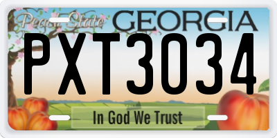 GA license plate PXT3034