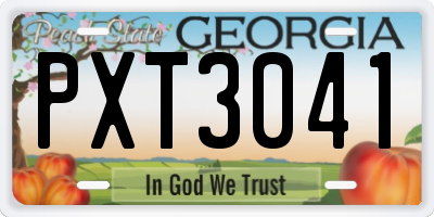 GA license plate PXT3041