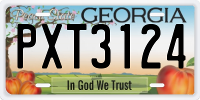GA license plate PXT3124
