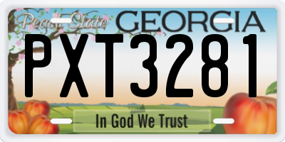 GA license plate PXT3281