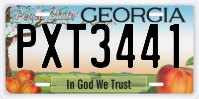 GA license plate PXT3441