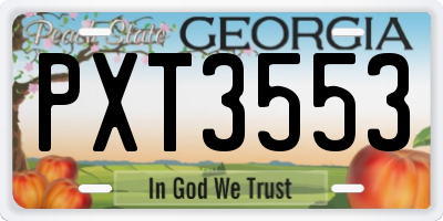 GA license plate PXT3553