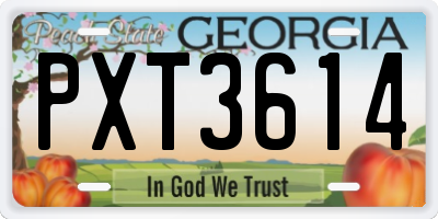 GA license plate PXT3614