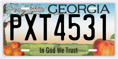 GA license plate PXT4531