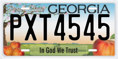 GA license plate PXT4545