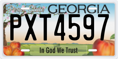 GA license plate PXT4597