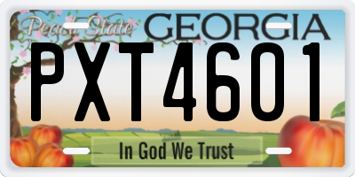GA license plate PXT4601