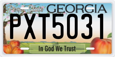 GA license plate PXT5031