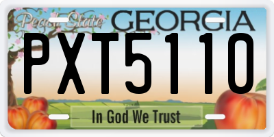 GA license plate PXT5110