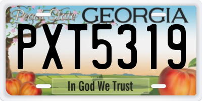 GA license plate PXT5319