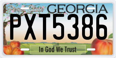 GA license plate PXT5386