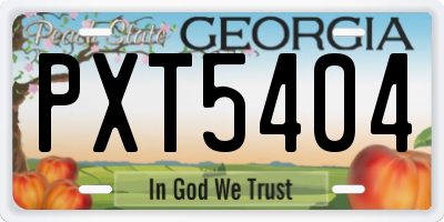 GA license plate PXT5404