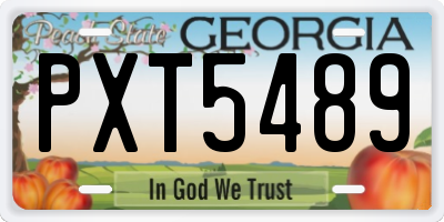 GA license plate PXT5489