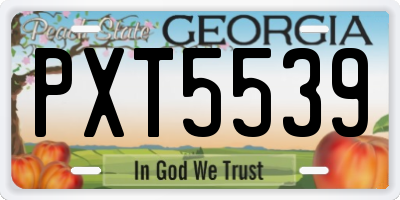GA license plate PXT5539