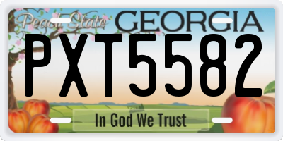 GA license plate PXT5582
