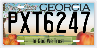 GA license plate PXT6247