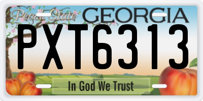 GA license plate PXT6313