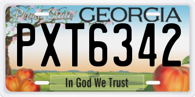GA license plate PXT6342