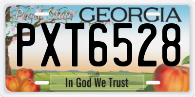 GA license plate PXT6528