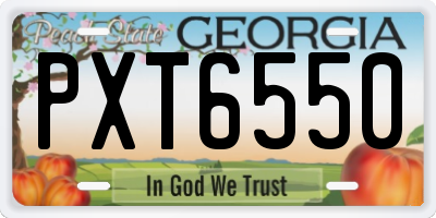 GA license plate PXT6550