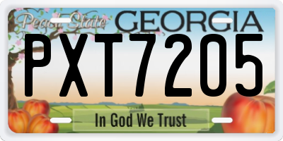 GA license plate PXT7205
