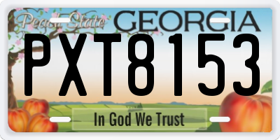 GA license plate PXT8153