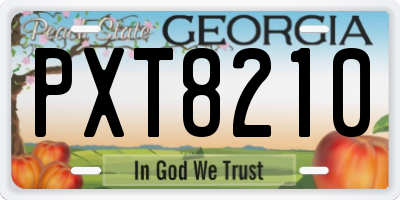 GA license plate PXT8210