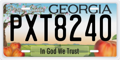 GA license plate PXT8240