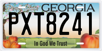 GA license plate PXT8241