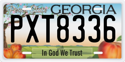 GA license plate PXT8336